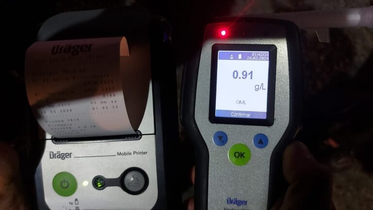 Se encontraban en estado de ebriedad y agredieron a la policia