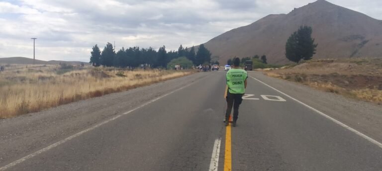 La Trochita sufrió un desperfecto mecánico durante su recorrido turístico