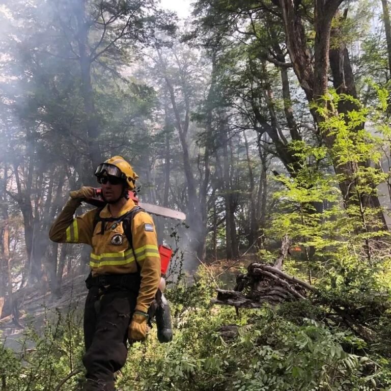 El incendio en Los Alerces sigue activo, pero con sectores con el fuego controlado