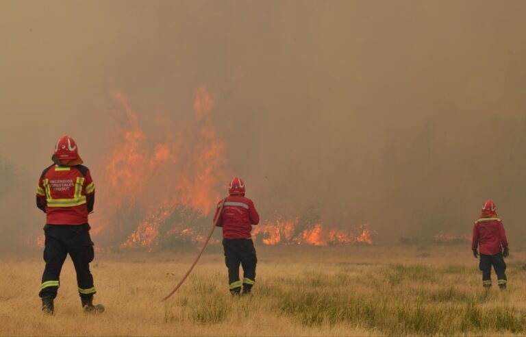 El incendio en Los Alerces ya consumió 7.790 hectáreas