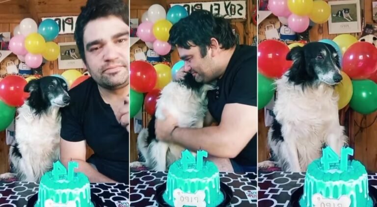 Festejó los 14 años de su perro en San Valentín y su emotivo mensaje conmovió a todos en las redes