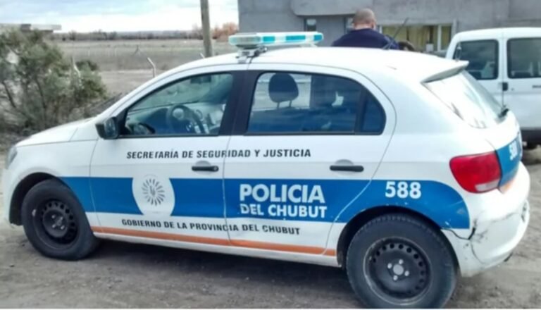 Intentaron robar mochilas de una librería y la dueña las detuvo