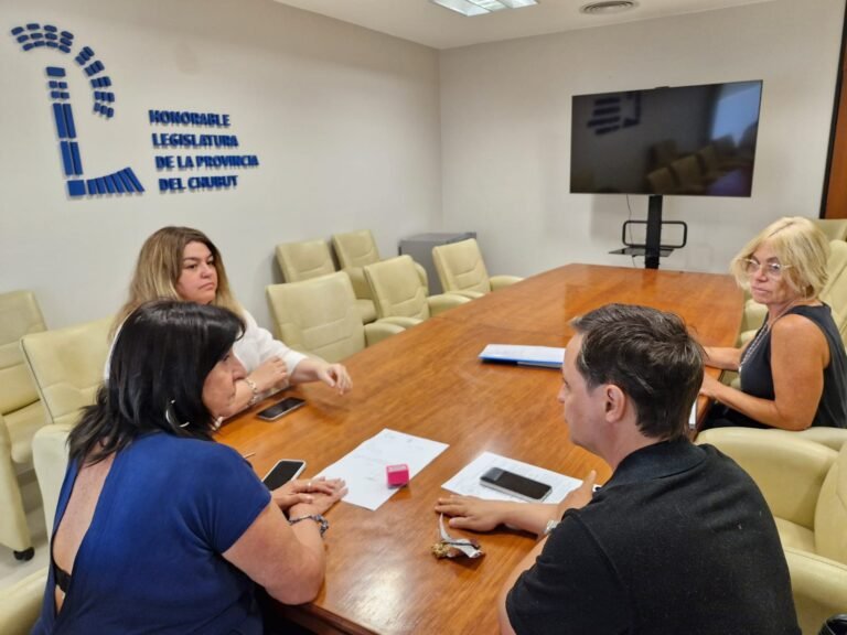 Habrá sesiones extraordinarias en la Legislatura del Chubut el lunes 19 y el jueves 22 de febrero