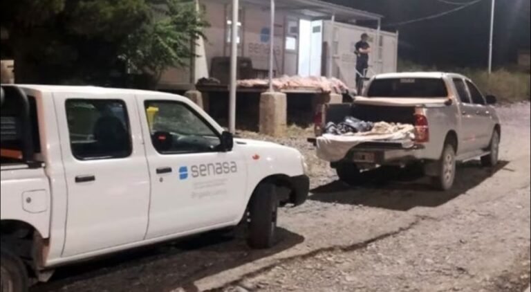 Decomisan 600 kilos de costillares durante operativo en Río Negro