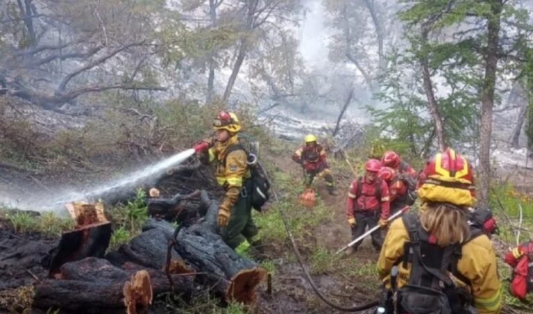 El fuego arrasó con casi 7000 hectáreas en Los Alerces