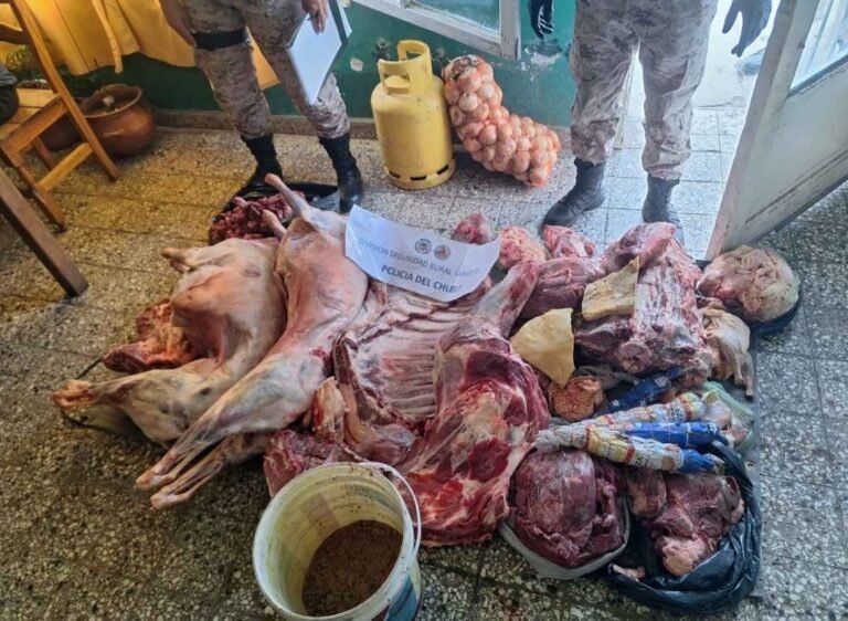 Decomisan carnicería clandestina que vendía por Facebook