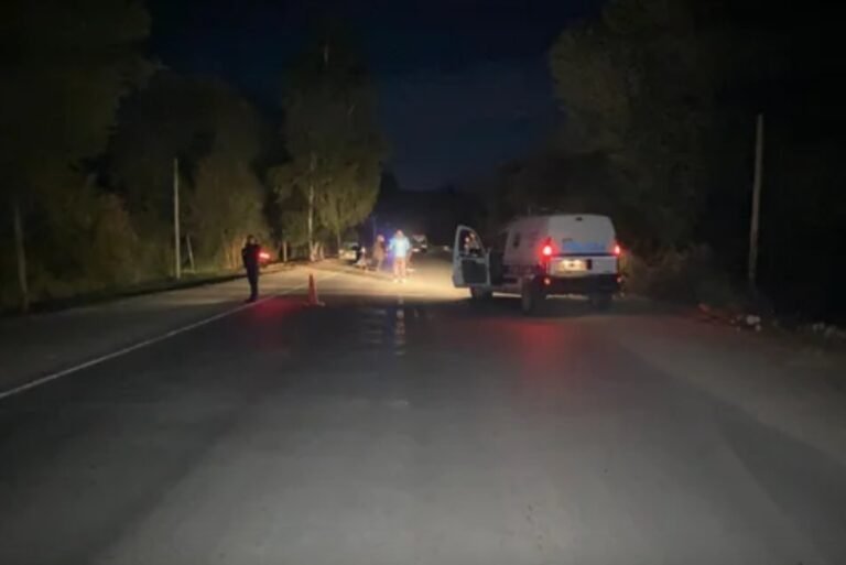 Un conductor alcoholizado atropelló y mató a un hombre que caminaba por la ruta