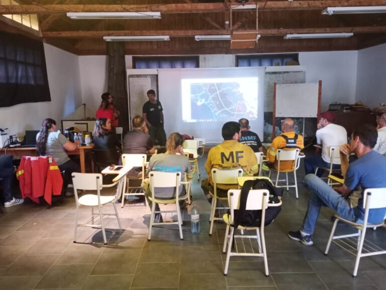 Analizan eventuales medidas de contingencia ante el avance del incendio en “Los Alerces”