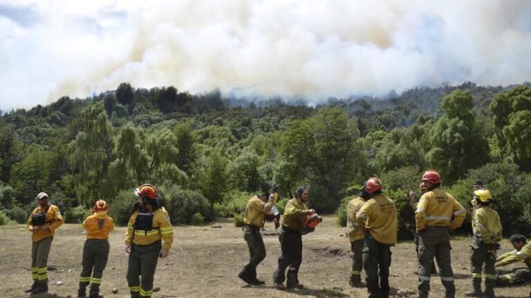 La tormenta eléctrica condiciona a los brigadistas en el incendio del Parque Nahuel Huapi