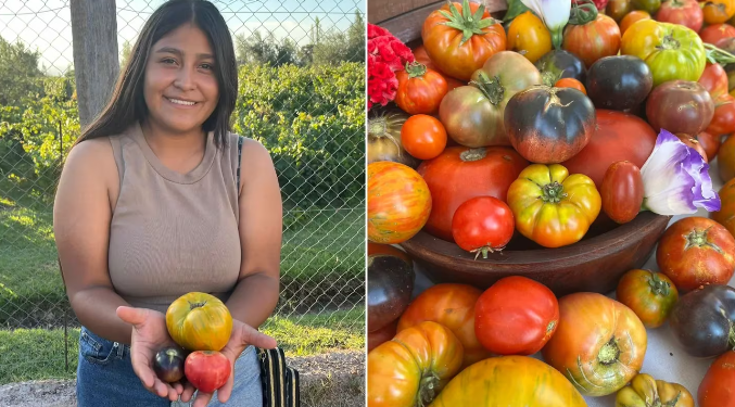 Una familia plantó tomates porque “no tenía para comer” y ahora le vende a los mejores restaurantes del país