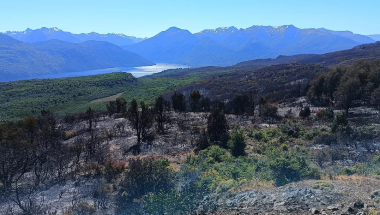 El fuego ya consumió 8205 hectáreas en el Parque Nacional Los Alerces