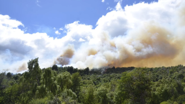 Mejoró el clima en el Parque Nacional Los Alerces y facilita el combate del incendio