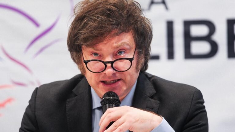 Milei anunció “vouchers” para comprar útiles escolares y un “financiamiento para alumnos”