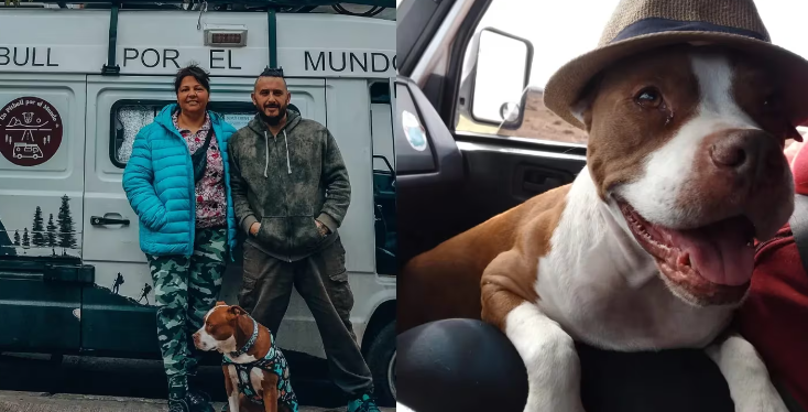Se conocieron por redes, vendieron todo para comprarse un motorhome y viajar con su pitbull