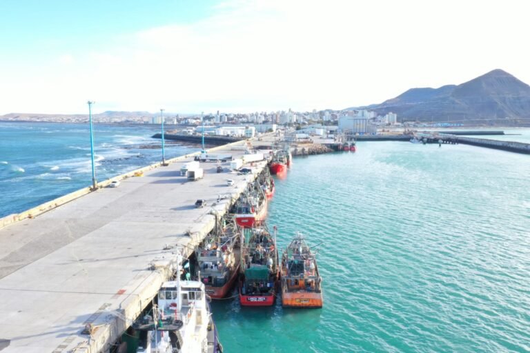 Empresarios reclaman la pesca de langostinos y el dragado para generar empleo