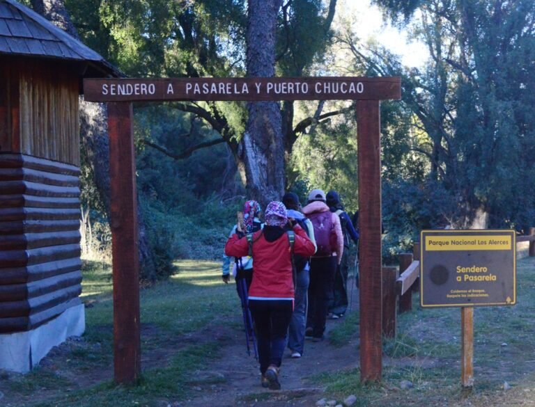 Cuáles son las sendas habilitadas en el Parque Nacional Los Alerces