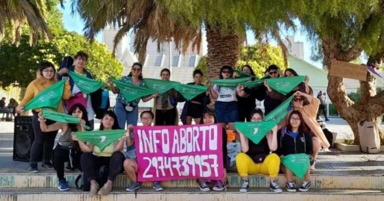 Durante el 2023, Socorro Rosa Rabiosa realizó 150 acompañamientos de abortos voluntarios