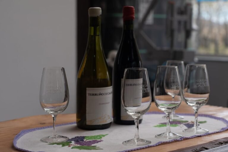 Convocan a productores a participar del programa “Promoción de Sistemas Sostenibles en la Vitivinicultura Argentina”