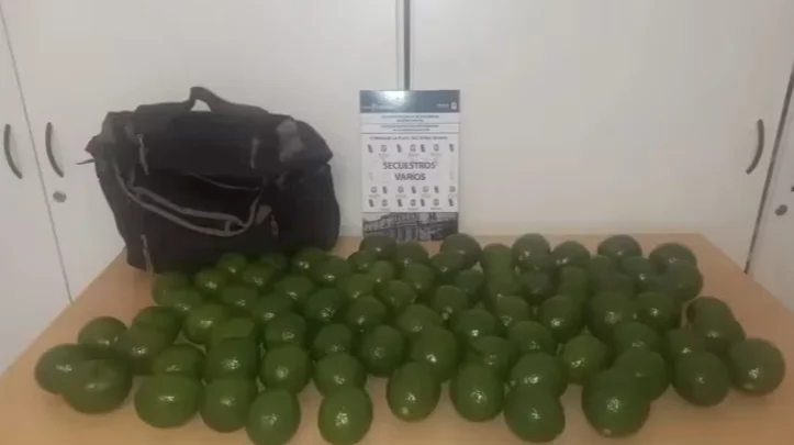 Detuvieron a tres jóvenes por robar paltas de un hotel alojamiento