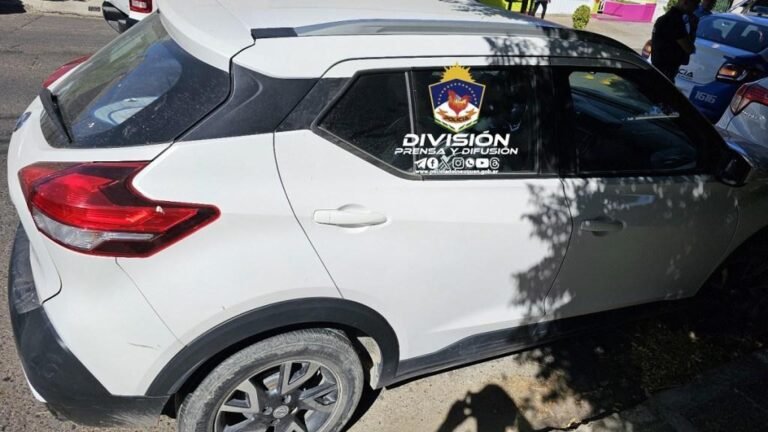 El niño que estuvo 6 horas encerrado en un auto tiene daño neurológico