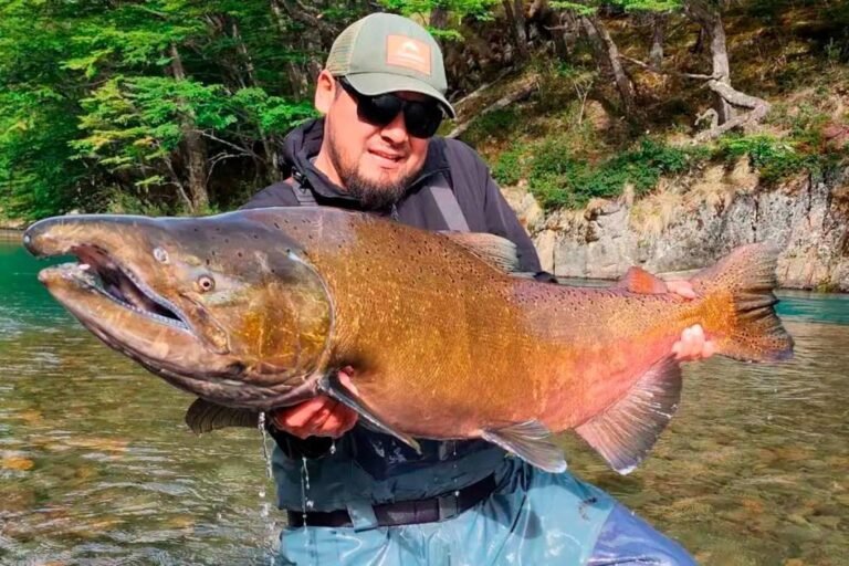 Pescaron un salmón de 33 kilos: la historia detrás de un gran pique
