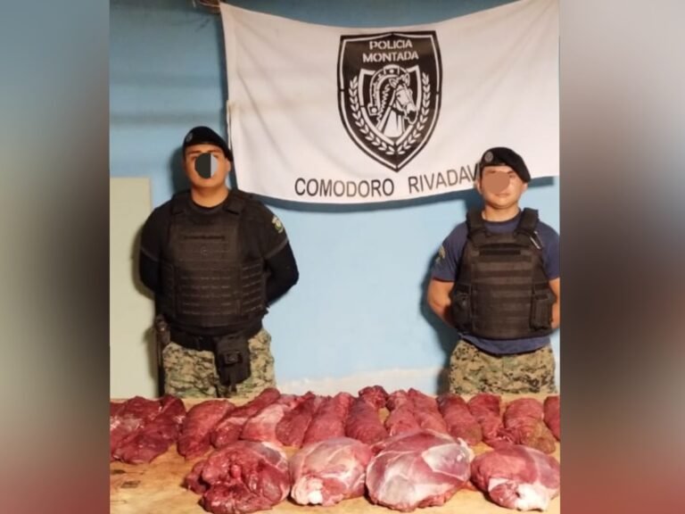 Los atraparon con armas, municiones y guanacos despostados
