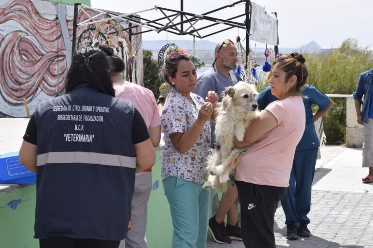 A partir del lunes, el tráiler de castración estará en el barrio Presidente Ortiz
