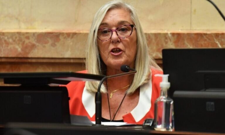 “Te vamos a liquidar”: la amenaza a una senadora chubutense que votó en contra del DNU