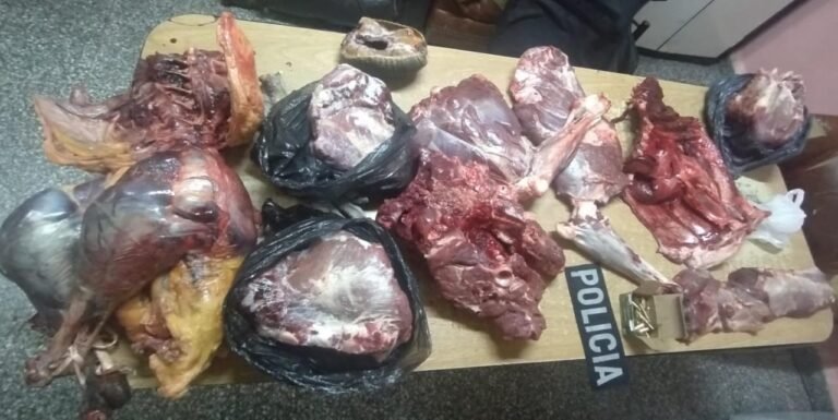 Llevaban carne faenada en el baúl de un auto