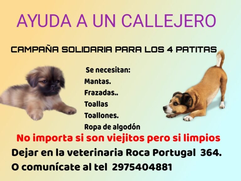 Realizan una campaña solidaria para “los cuatro patitas”