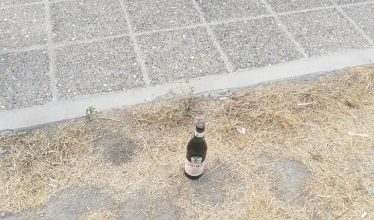 Detenido tras intentar robar una botella de fernet
