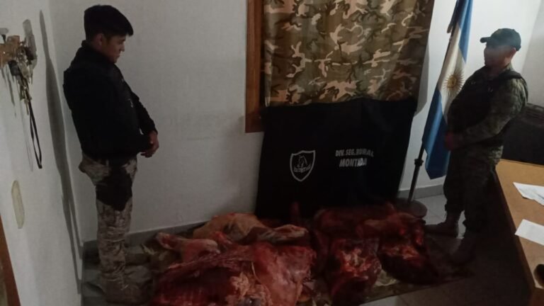 Secuestraron carne que era trasladada ilegalmente