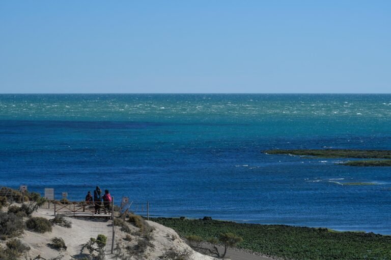 Quedó inaugurada la “Temporada de Orcas 2024”
