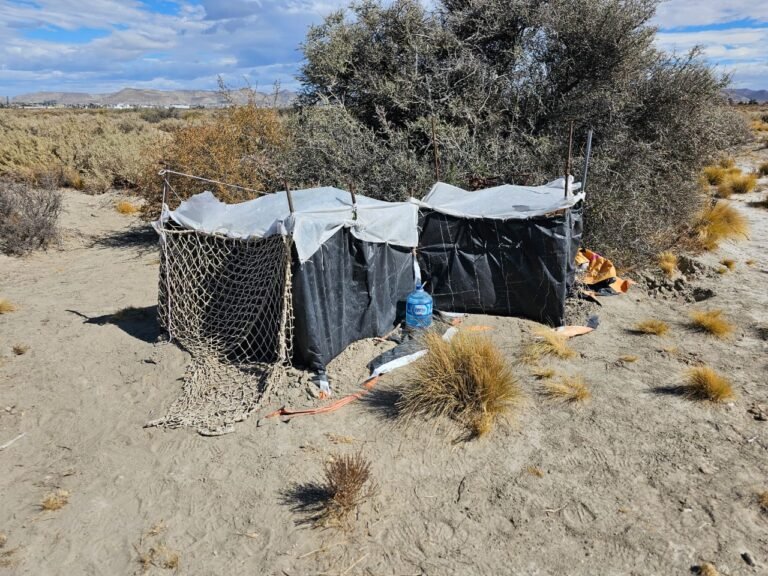 Encontraron 13 plantas de marihuana en cercanías al Regimiento de Infanteria