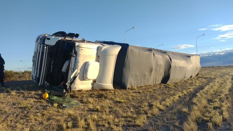 Camionero provocó un vuelco por esquivar un zorro