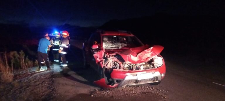 Chocaron contra un ciervo y una mujer debió ser trasladada al Hospital