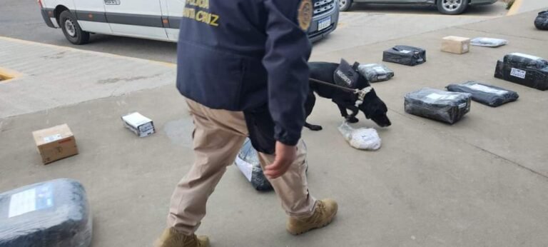Realizaron un control en Terminal de Ómnibus e inspeccionaron 50 paquetes y bultos
