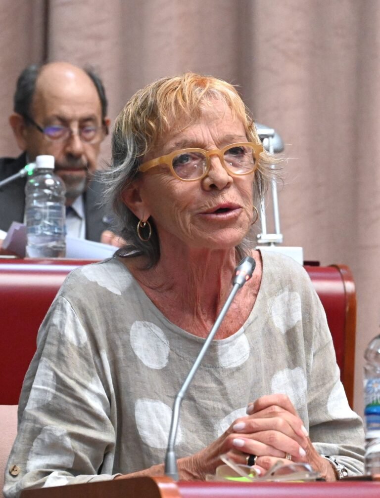 Por primera vez, la Legislatura homenajeará a mujeres de Comunas Rurales