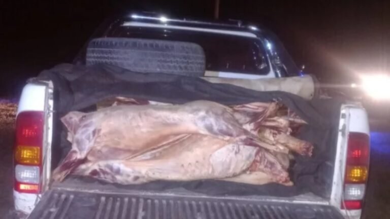 Secuestraron 32 capones faenados que iban a ser vendidos en Trelew