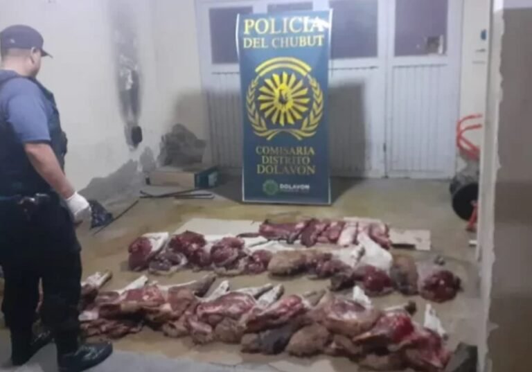 Le secuestraron la camioneta por tener el carnet vencido y tenía carne de guanaco