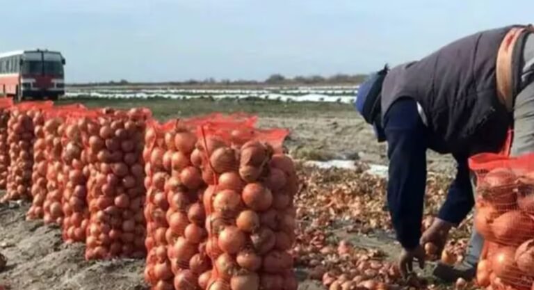 Asesinaron a balazos a un joven que habría intentado robar una bolsa de cebollas