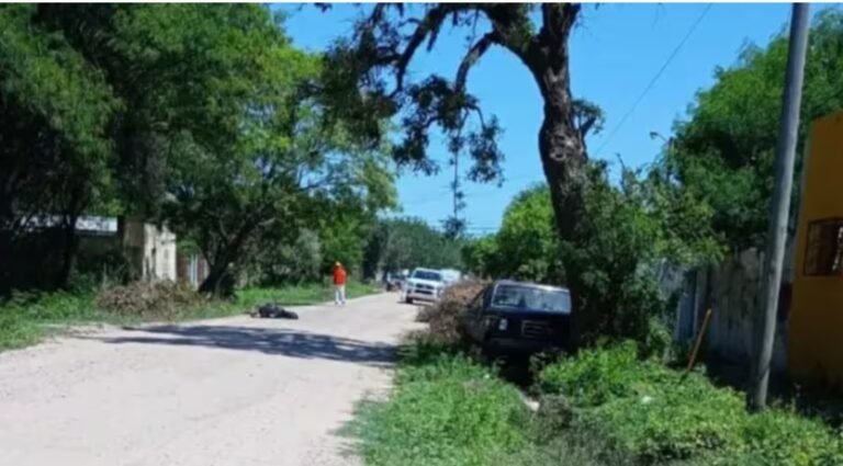 Un ciclista fue atropellado por una camioneta, lo atacaron abejas y murió