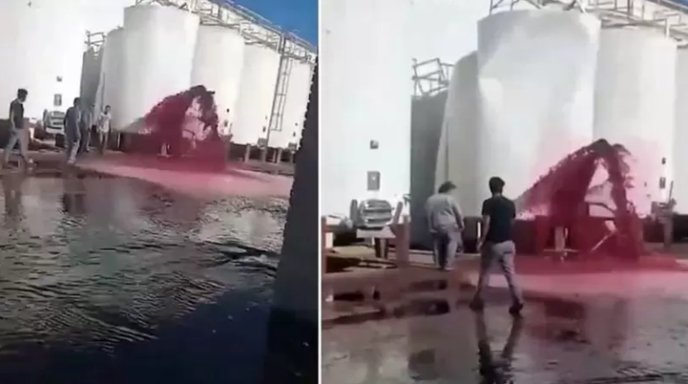 Se perdieron casi 15 mil litros de vino de una bodega de Mendoza por un insólito error