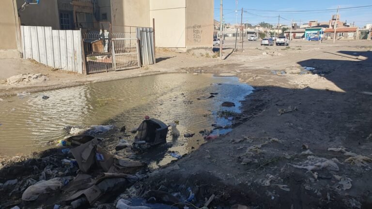 Abandono en las 1008 “queremos trabajar con los chicos del barrio”