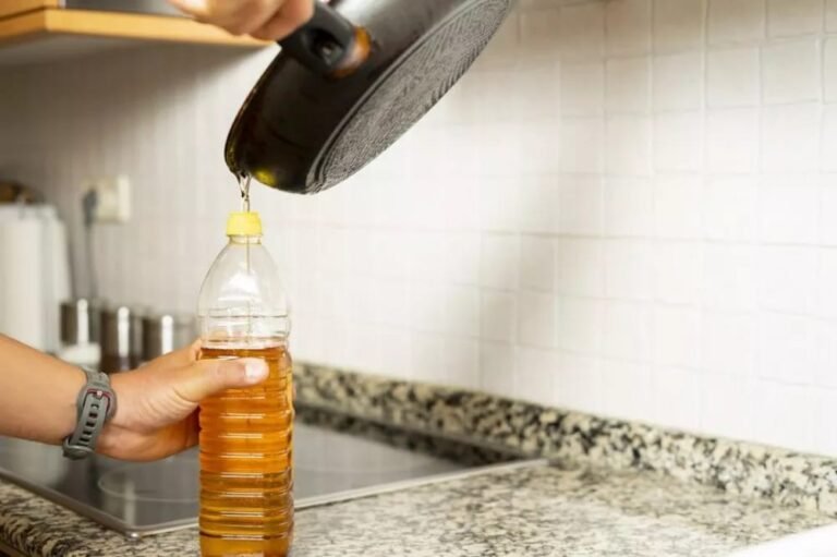 Subsecretaría de Ambiente recolectará el aceite usado del Festín de Sabores