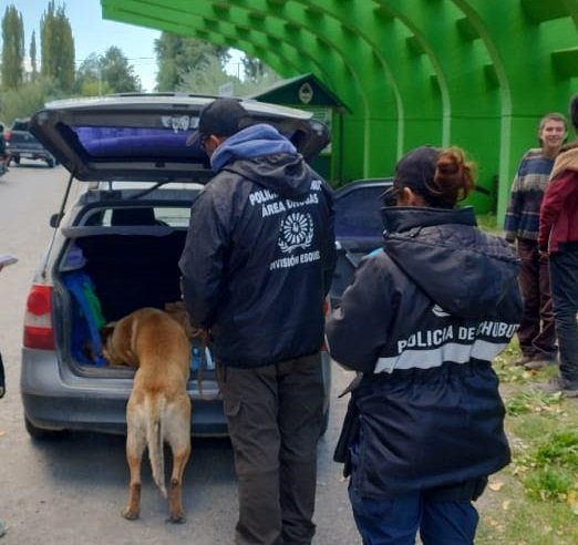 Operativo conjunto entre Chubut y Río Negro arrojó resultados positivos en la Comarca Andina