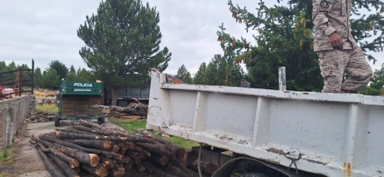 Secuestraron cerca de 72 varas de ciprés en Trevelin