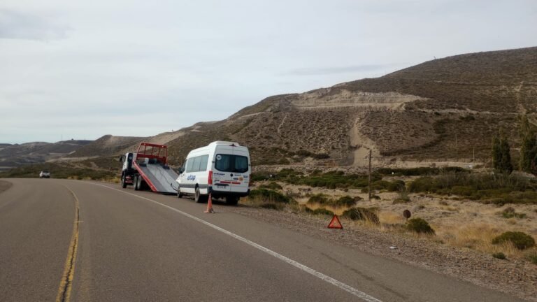 Dos guanacos se cruzaron sobre Ruta 26 y provocaron un accidente