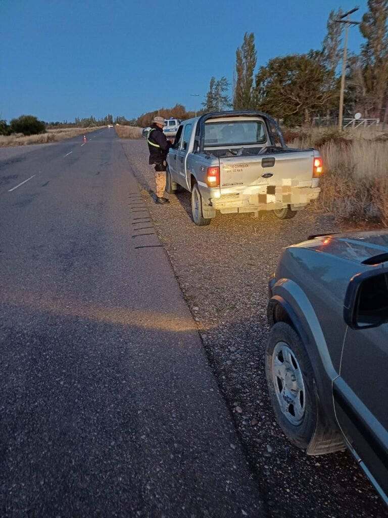 Llevaba tres guanacos depostados y le secuestraron el arma