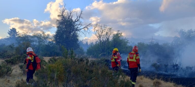 Controlaron el incendio forestal en la zona de Los Cipreses